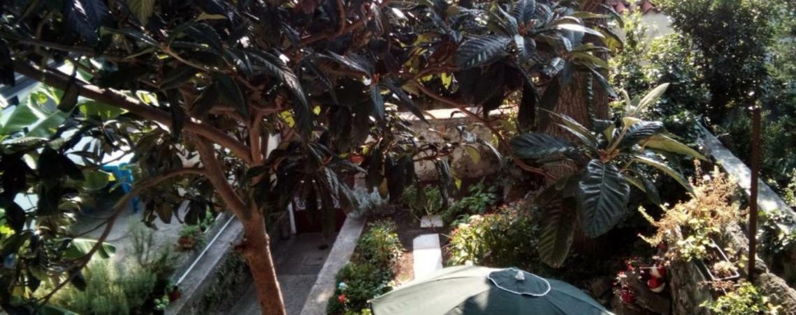 Casa Vacanze Poison ترييستي المظهر الخارجي الصورة